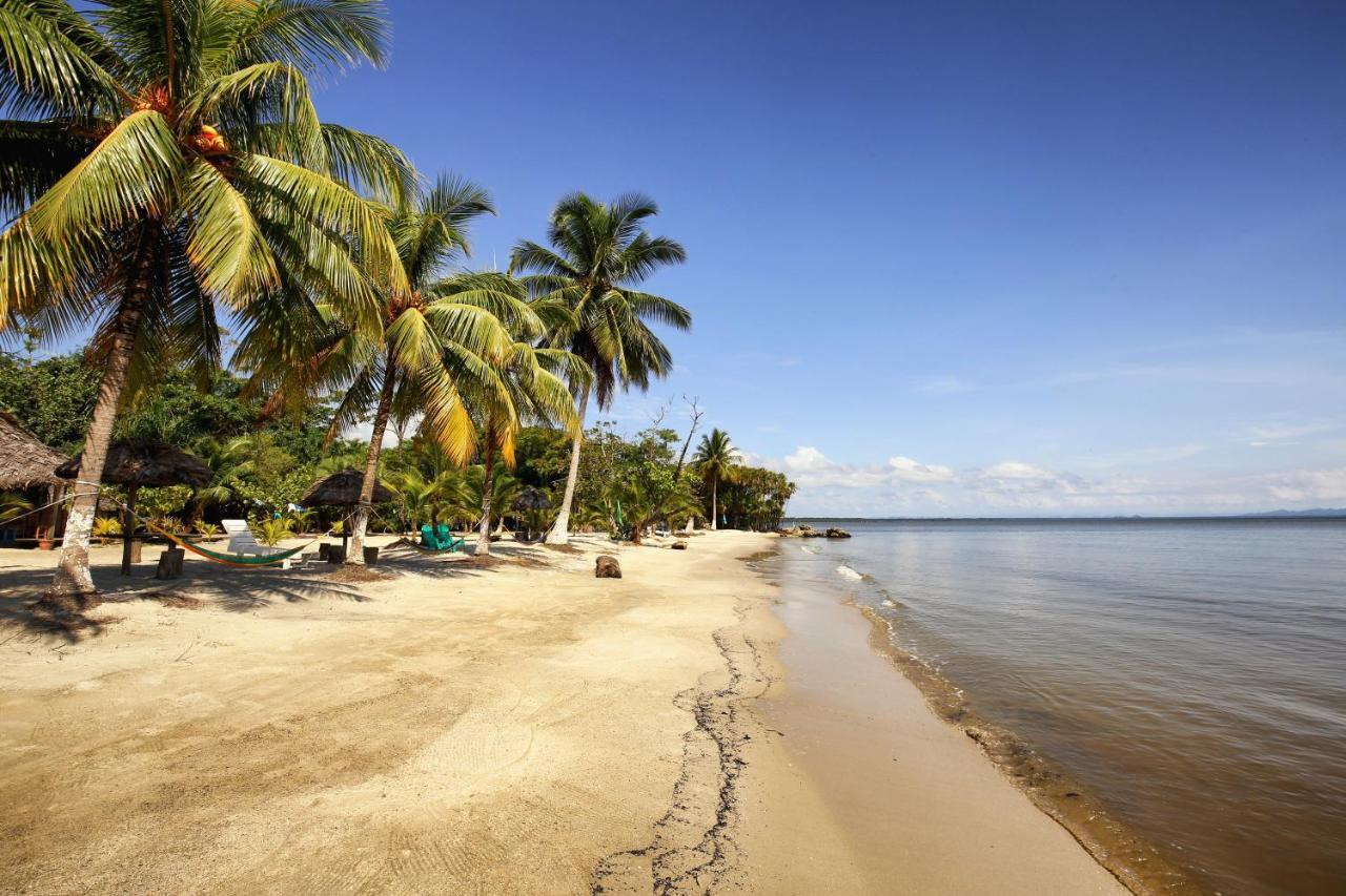 Villa Caribe Lívingston Exteriér fotografie